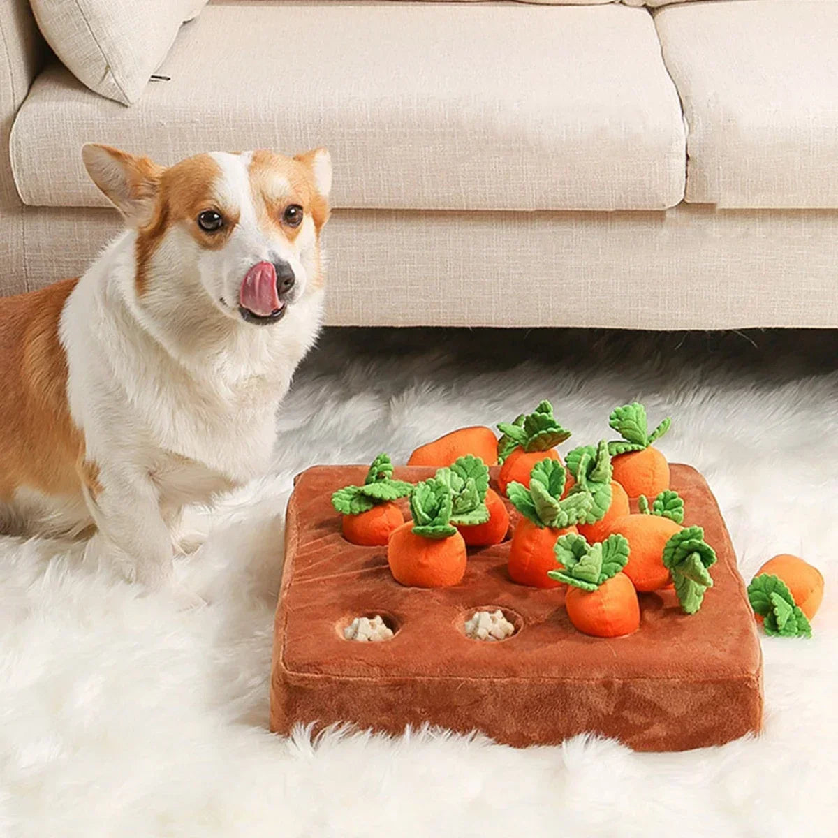 Carrot Snuffle Mat