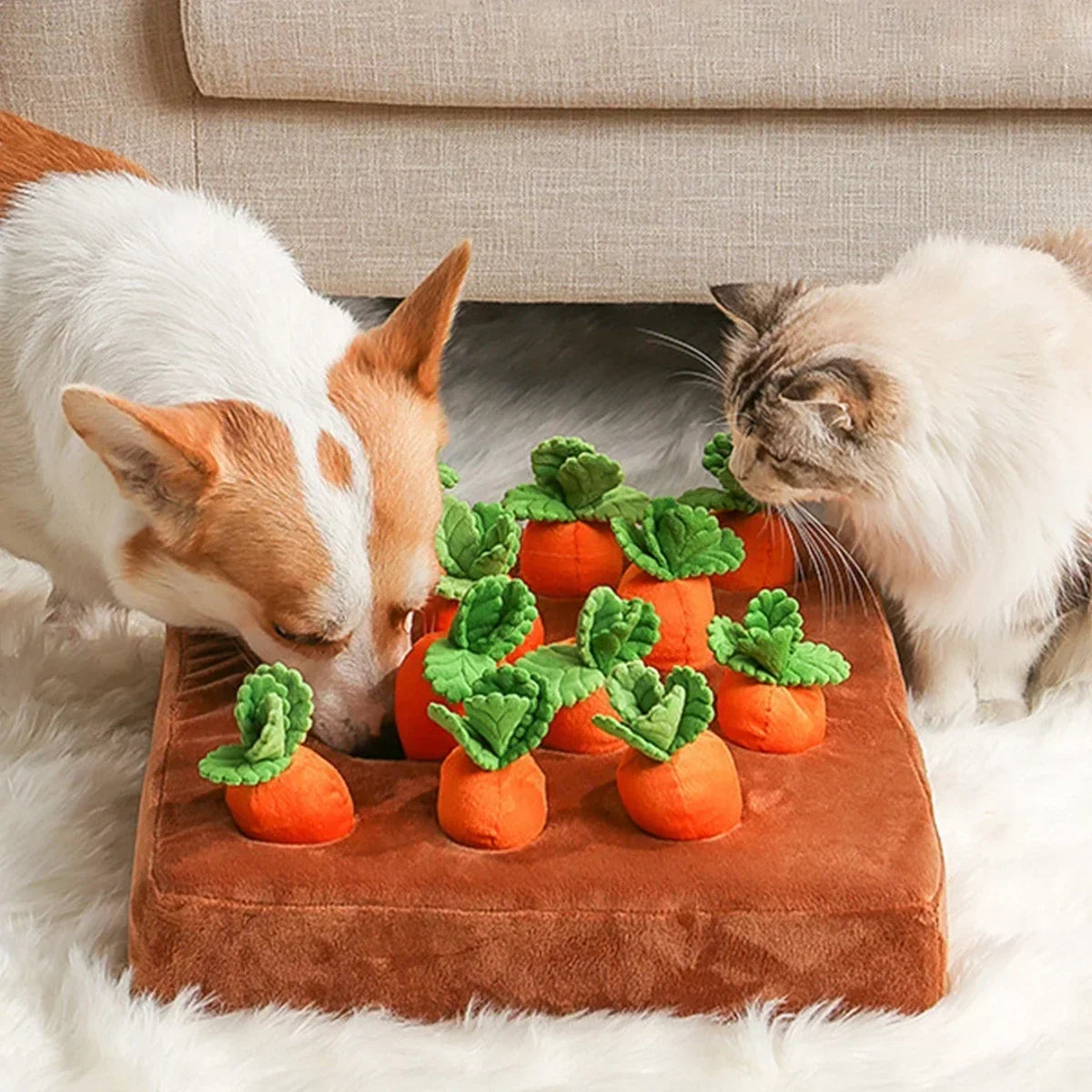 Carrot Snuffle Mat