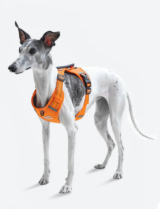 Adjustable Reflective Dog Vest Harnesses with Leash