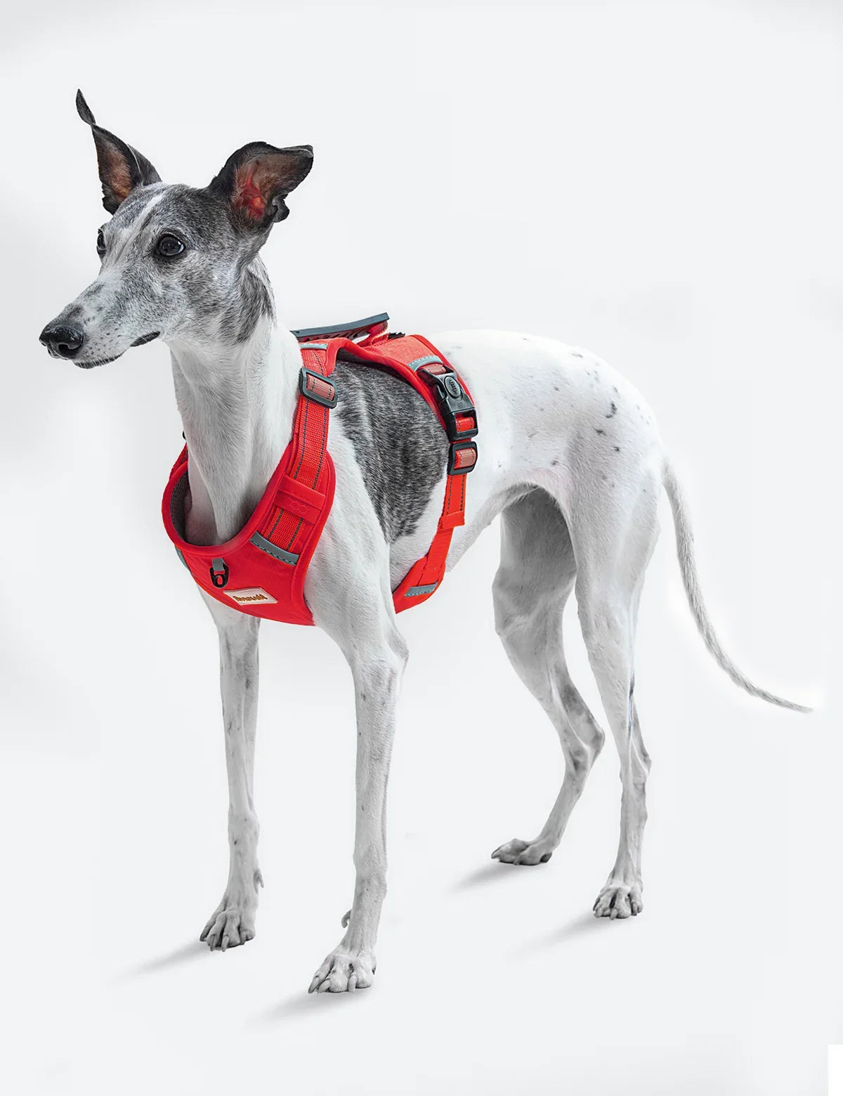 Adjustable Reflective Dog Vest Harnesses with Leash