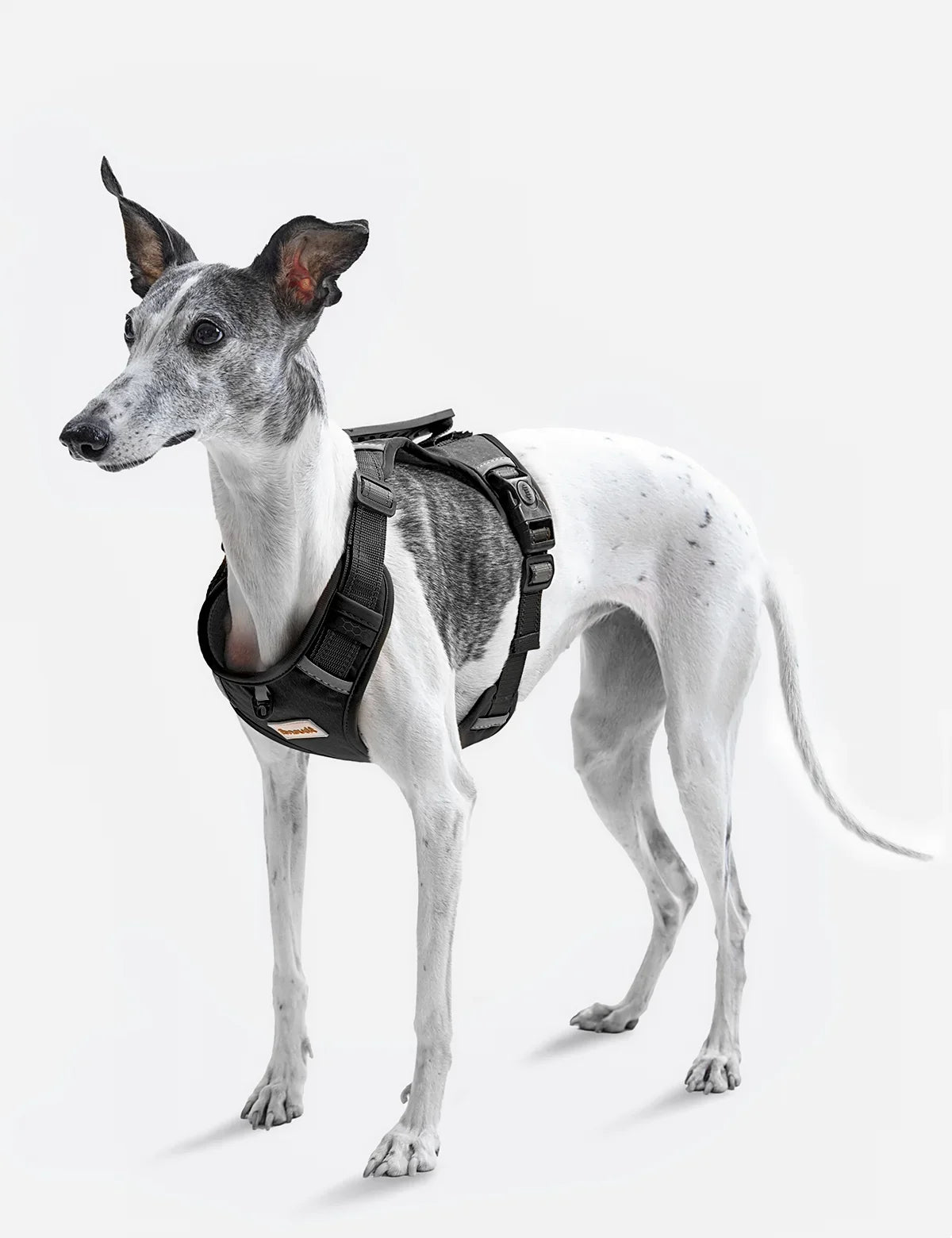 Adjustable Reflective Dog Vest Harnesses with Leash